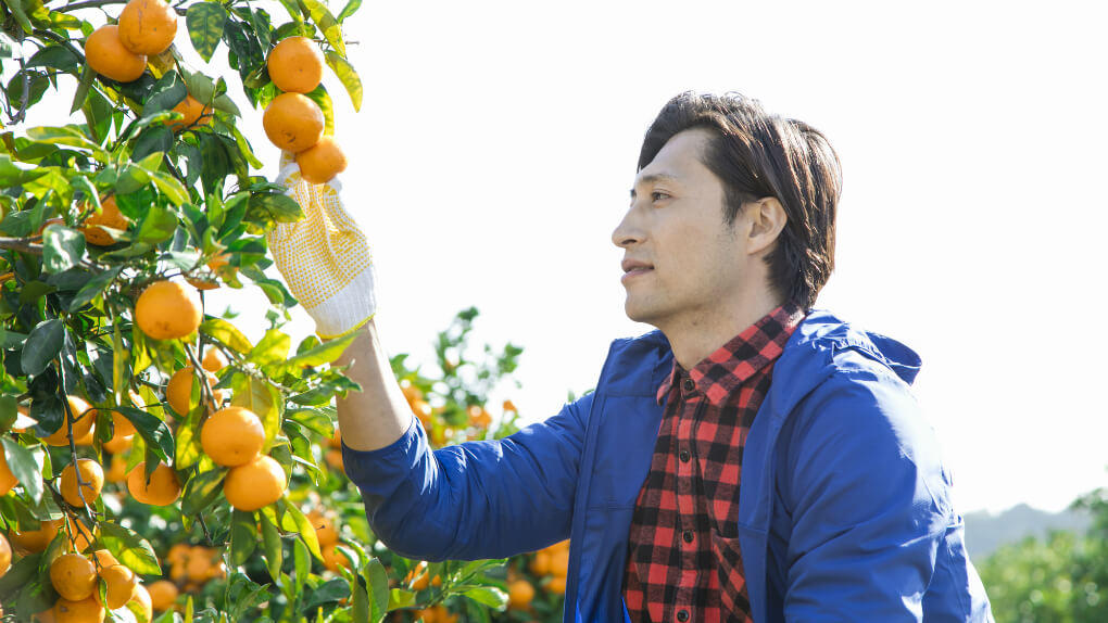 農家・農園のプロモーション・ブランディングにホームページを利用しよう！