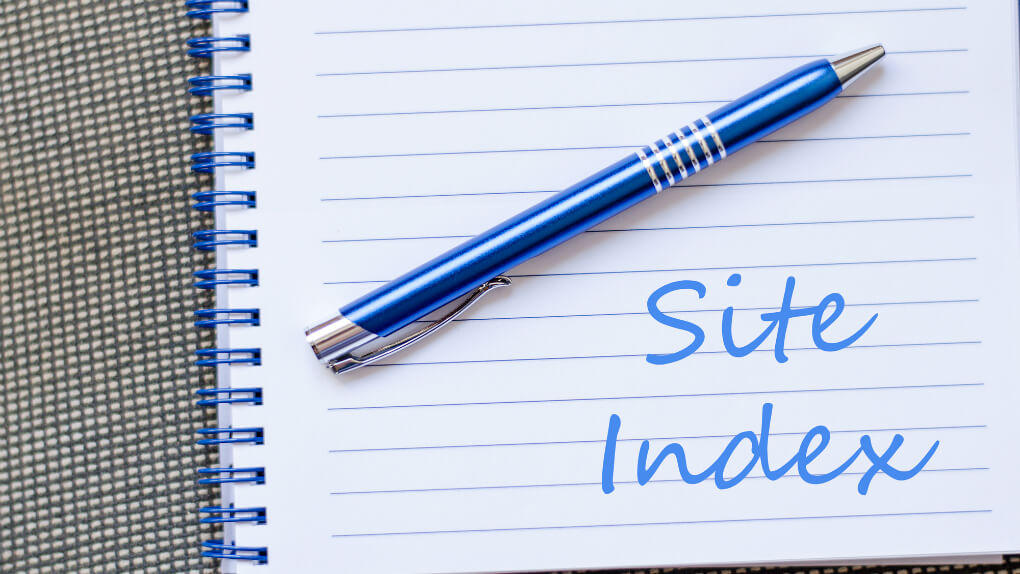 検索エンジンにインデックスされるスピードを早めるには？